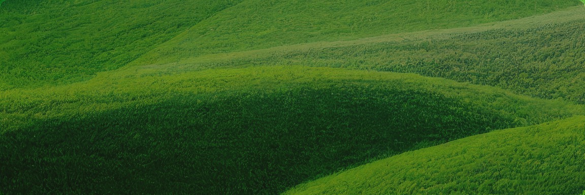 大宝娱乐-LG游戏|PT游戏|CQ9游戏