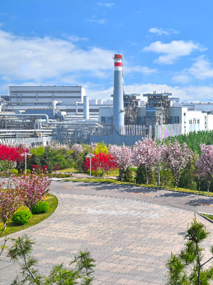 大宝娱乐-LG游戏|PT游戏|CQ9游戏